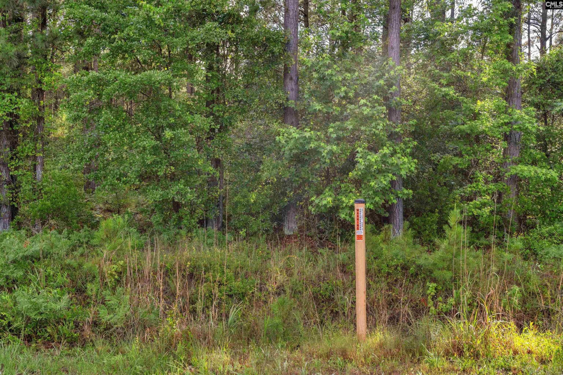 0000 N Brewington Road  Photo 23