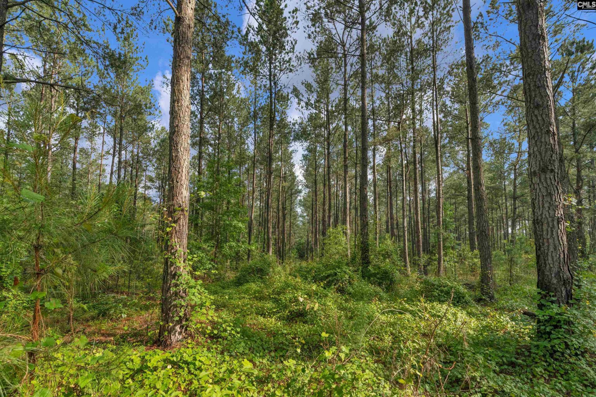 0000 N Brewington Road  Photo 25