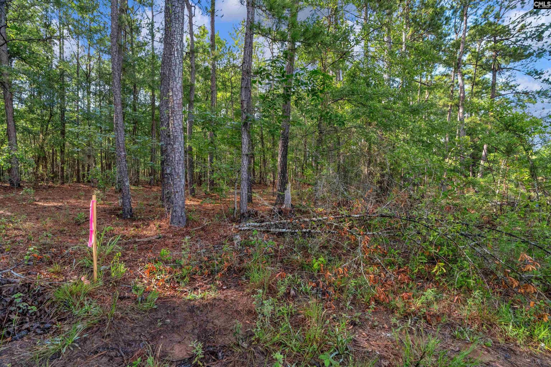 0000 N Brewington Road  Photo 26