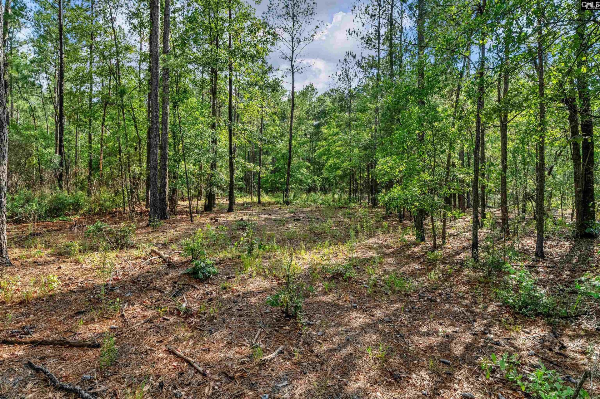 0000 N Brewington Road  Photo 28