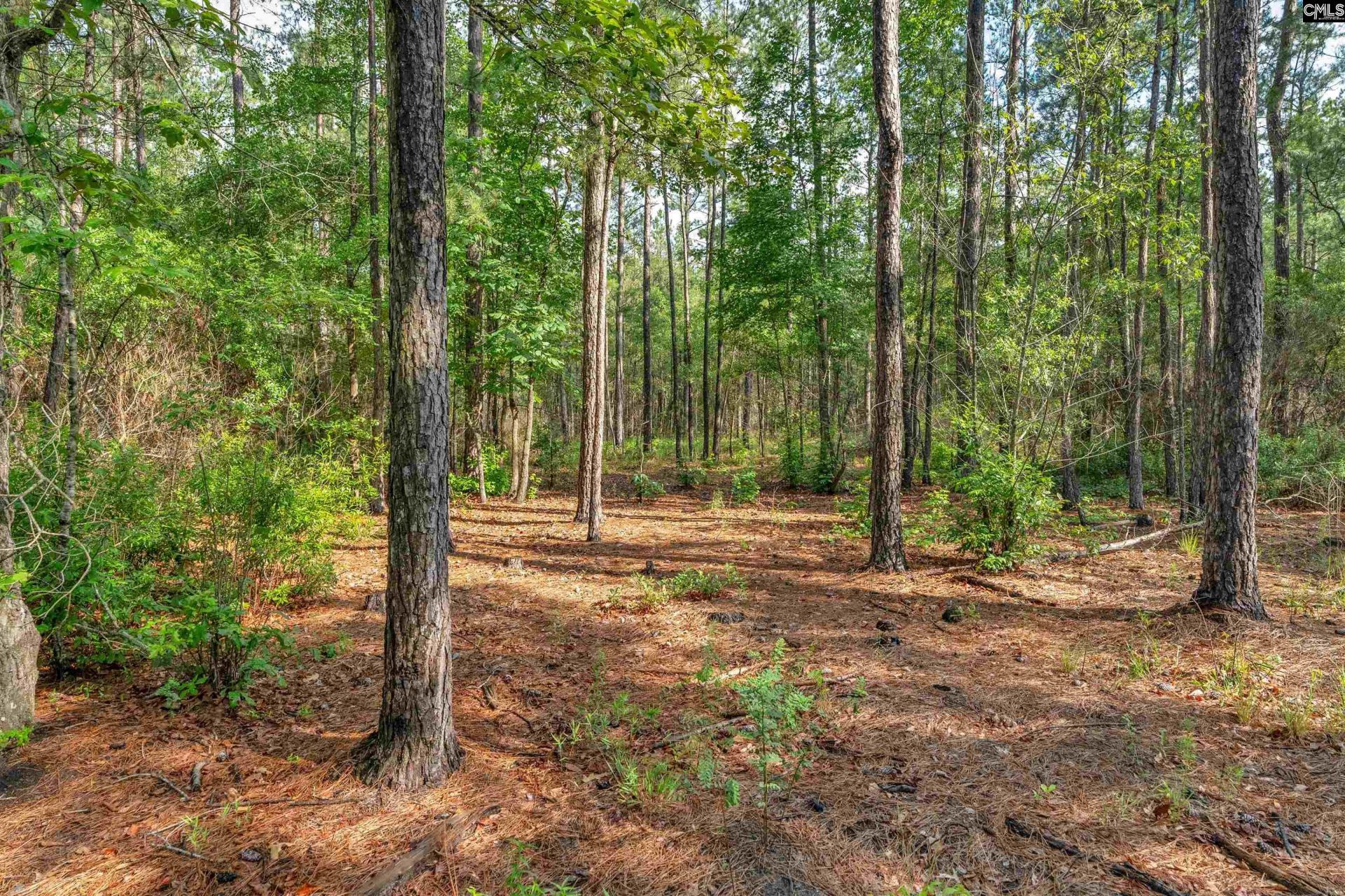 0000 N Brewington Road  Photo 29