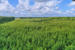 0000 N Brewington Road  photo 4