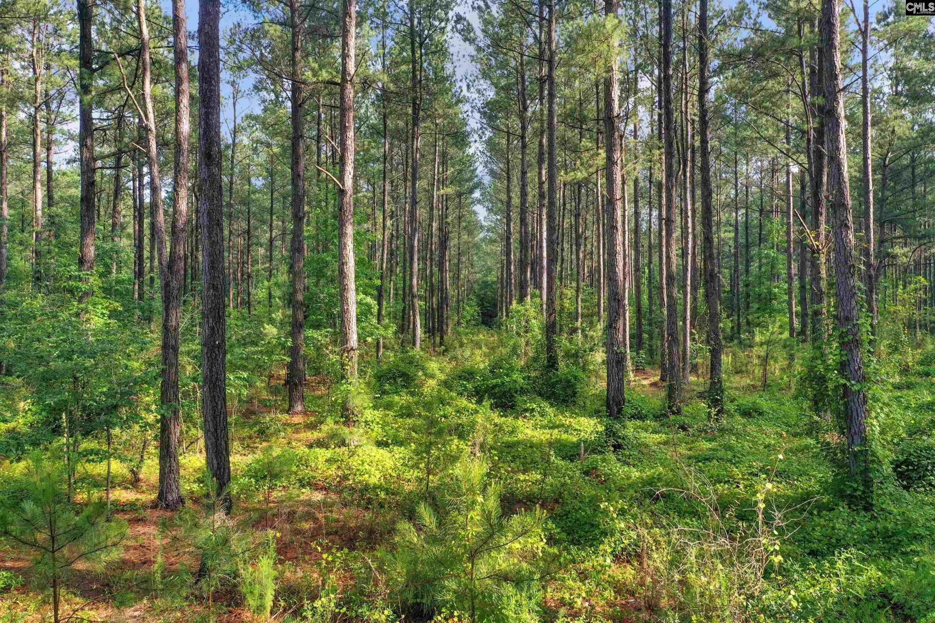 0000 N Brewington Road  Photo 6