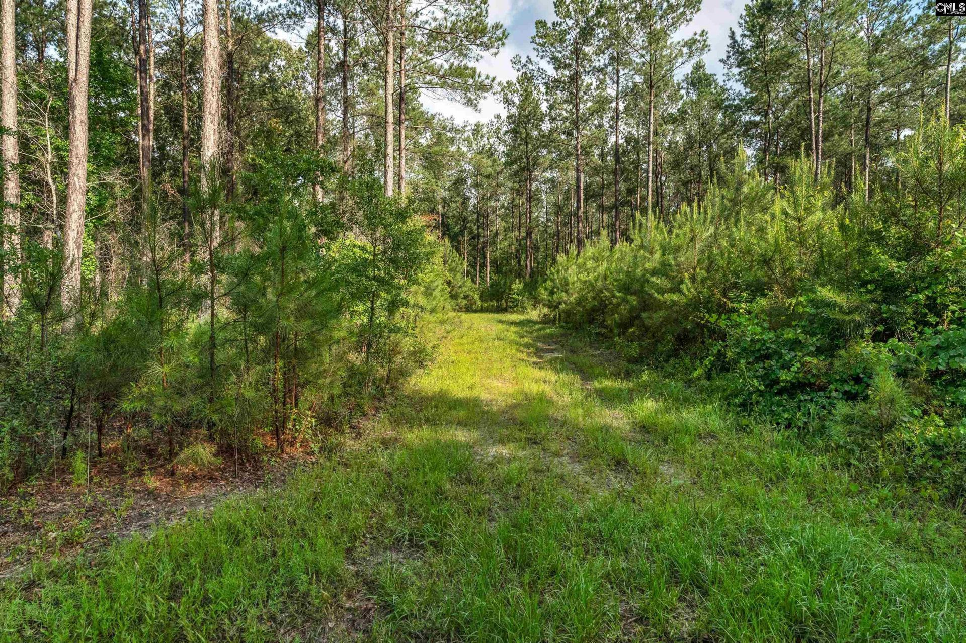 0000 N Brewington Road  Photo 7