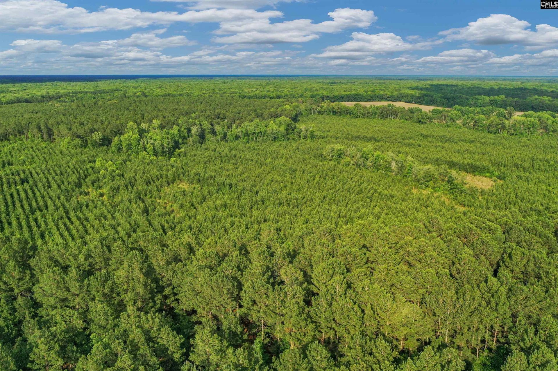 0000 N Brewington Road  Photo 8