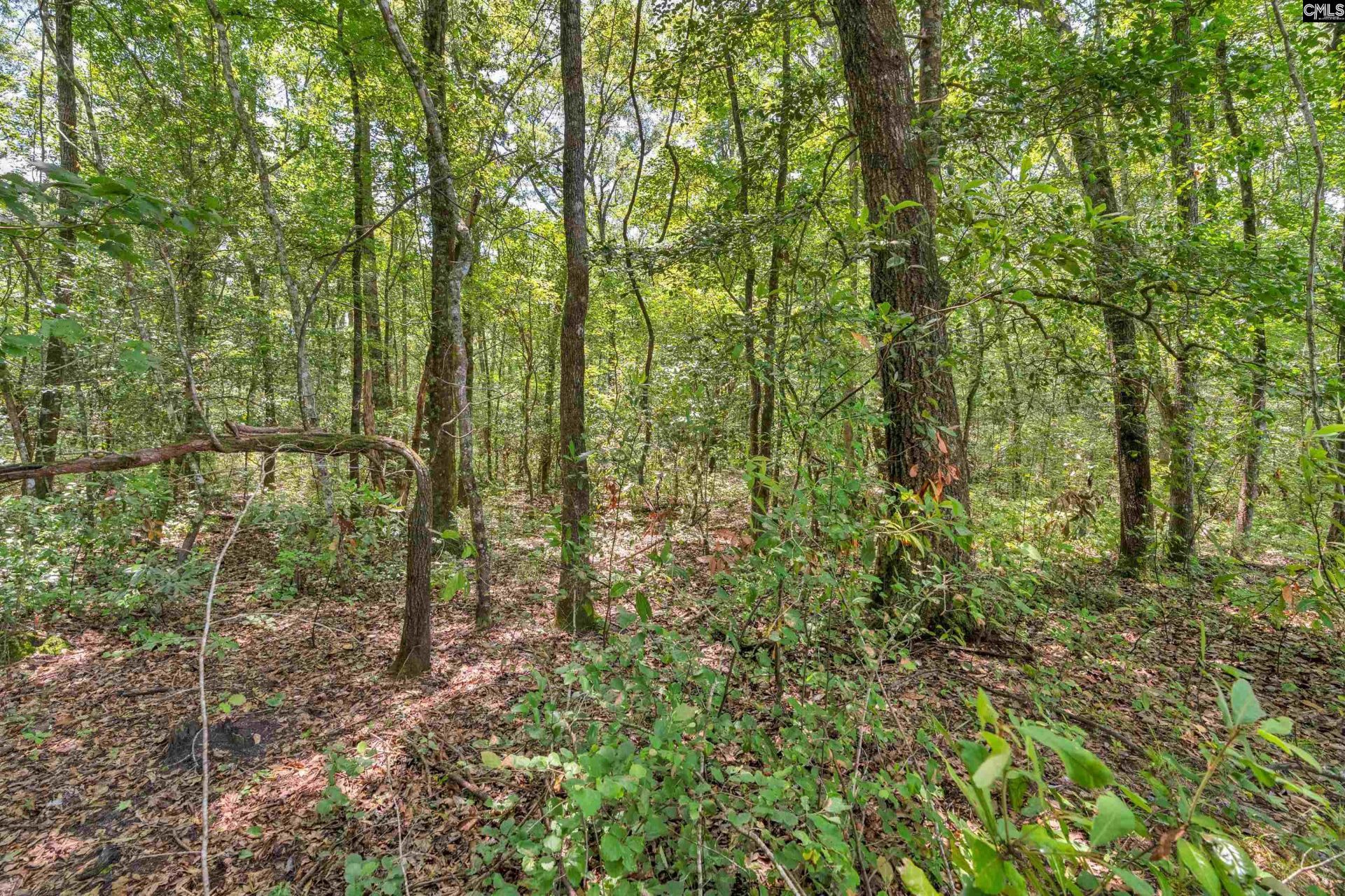 0000 N Brewington Road  Photo 9