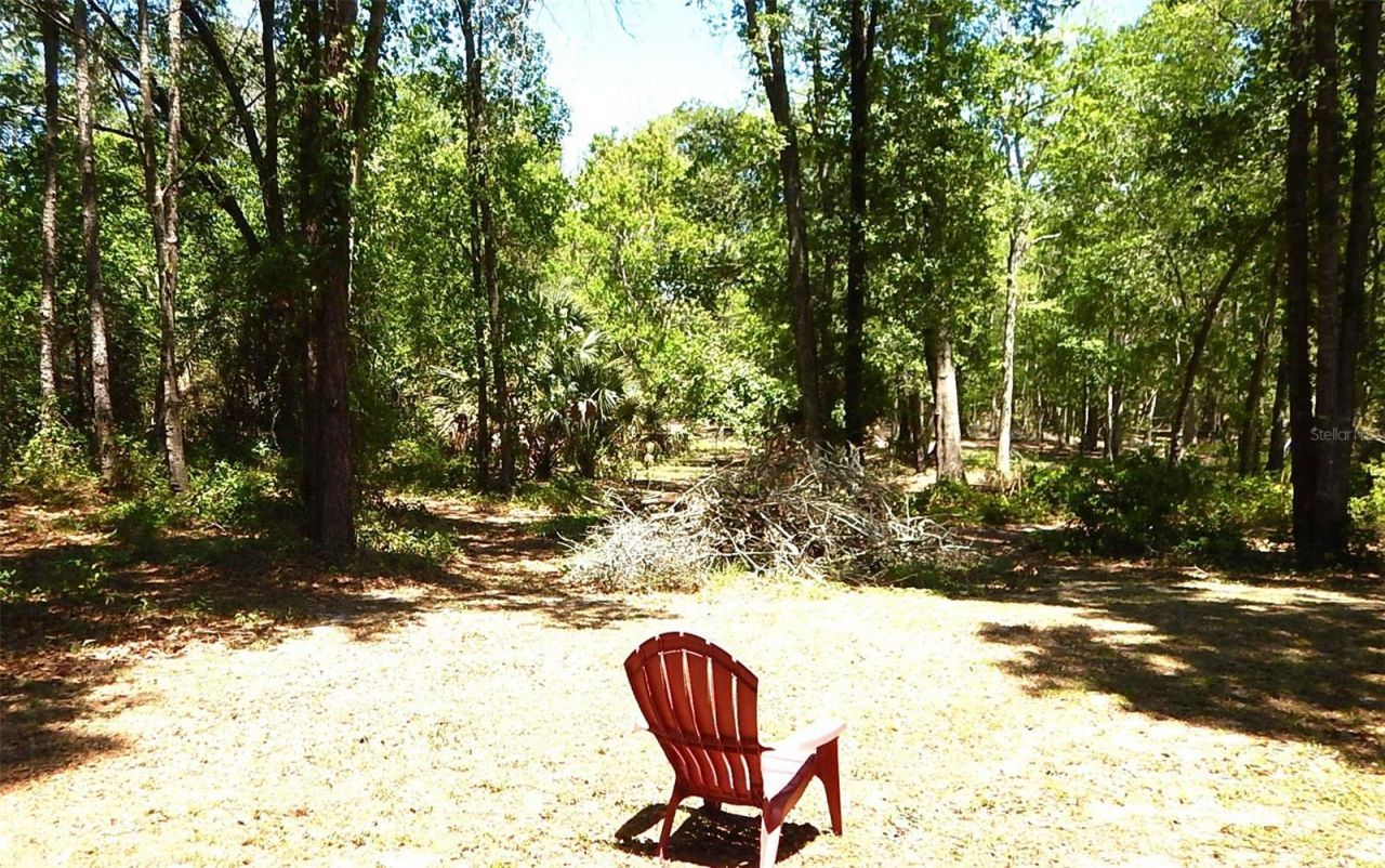 6343 Fox Hollow Court, Hampton, FL 32044 Photo