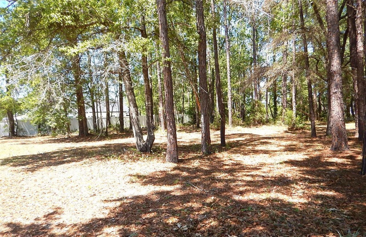 6343 Fox Hollow Court, Hampton, FL 32044 Photo