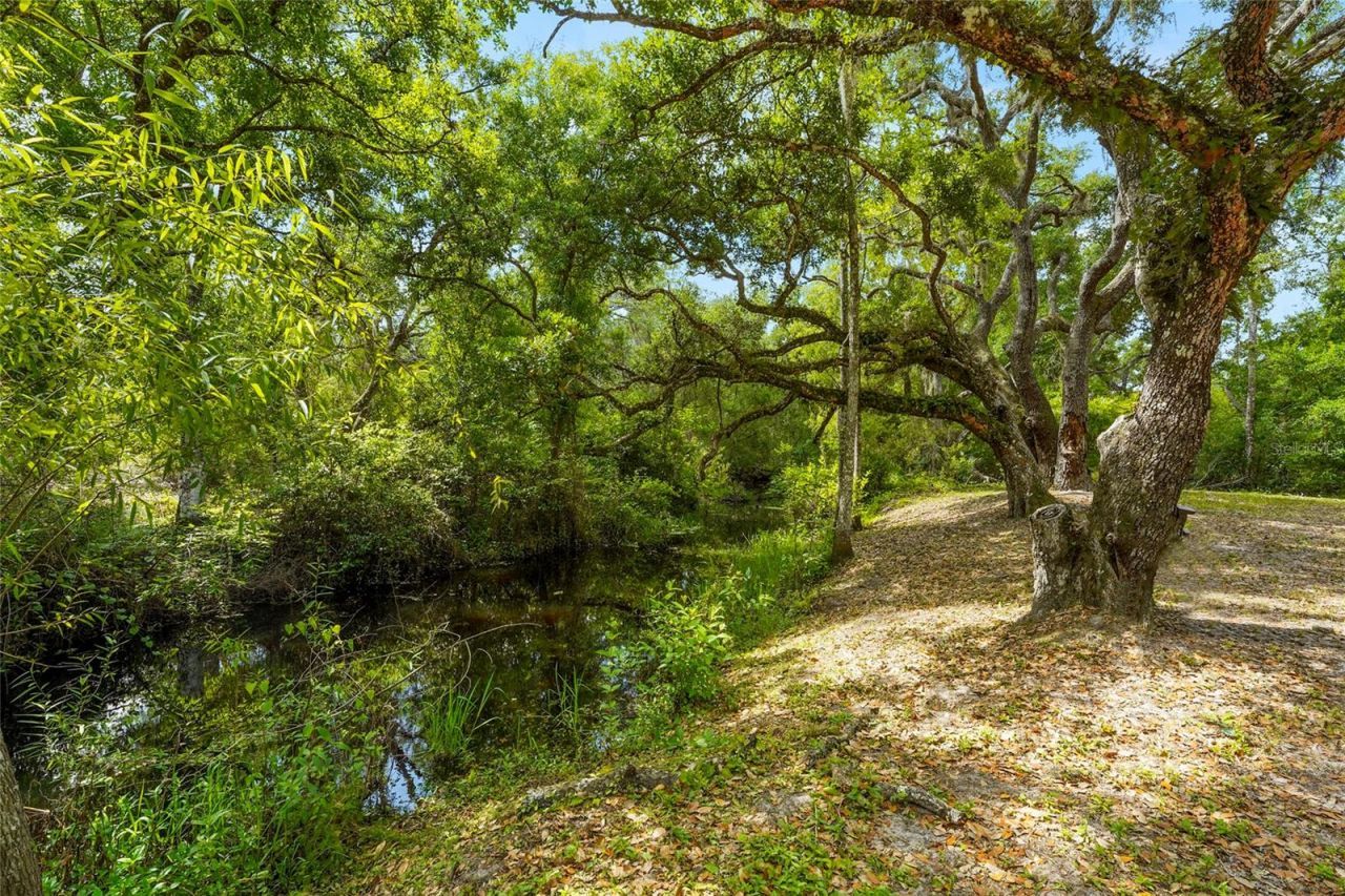 25640 State Road 70 E, Myakka City, FL 34251 Photo