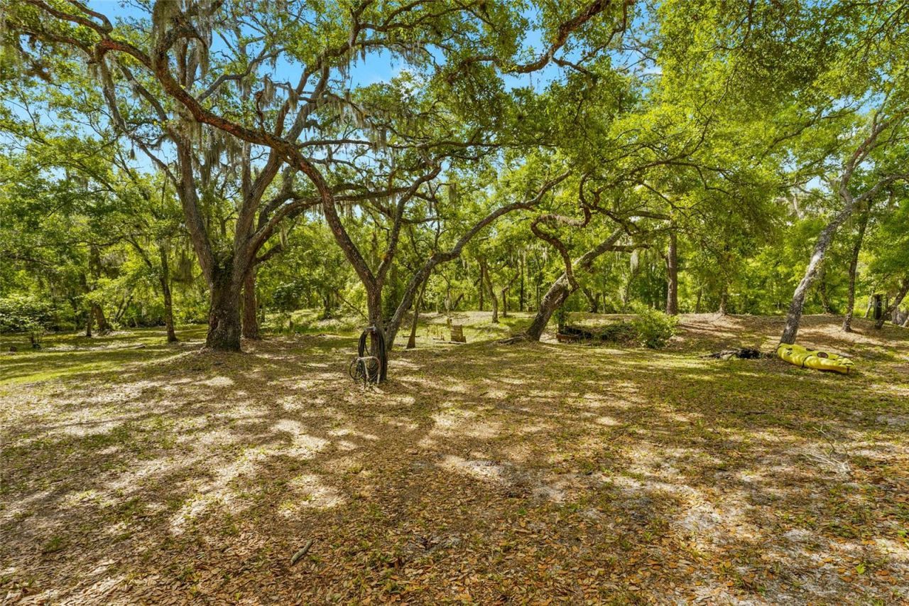 25640 State Road 70 E, Myakka City, FL 34251 Photo