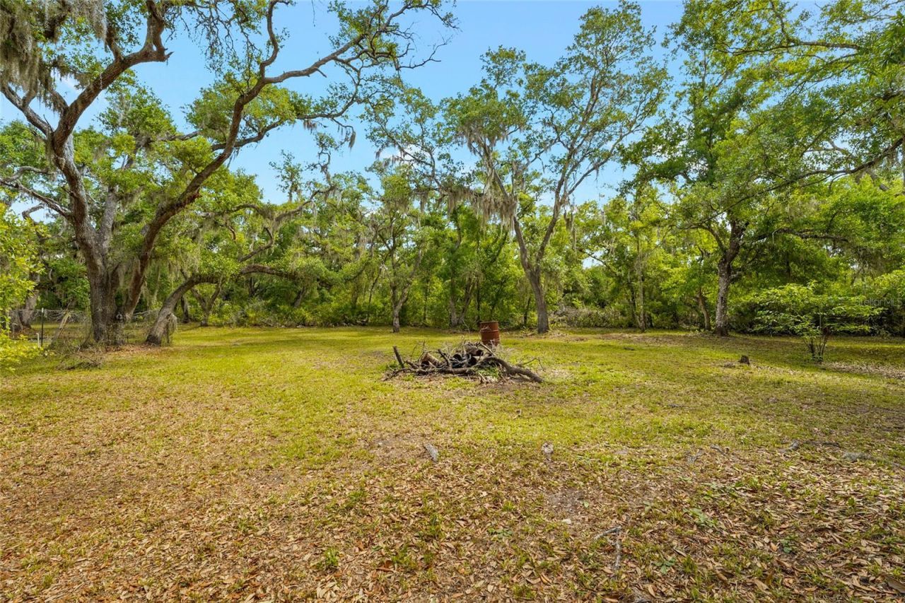 25640 State Road 70 E, Myakka City, FL 34251 Photo