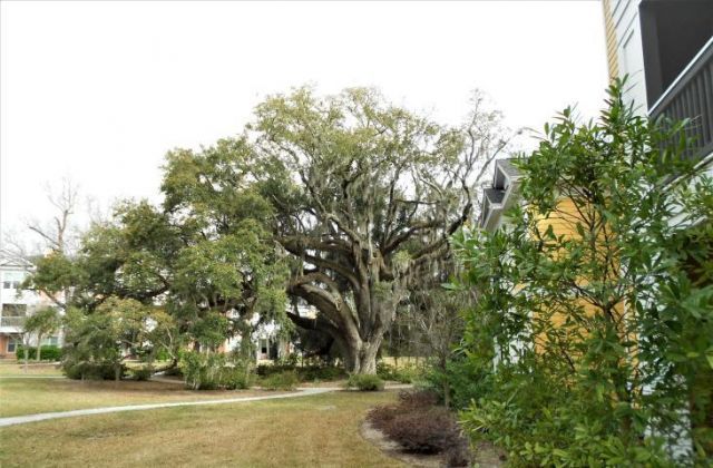 1932 Chatelain Way Photo 19