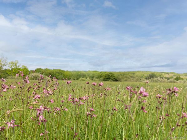 00 Beechwoods Road , Callicoon, NY 12723