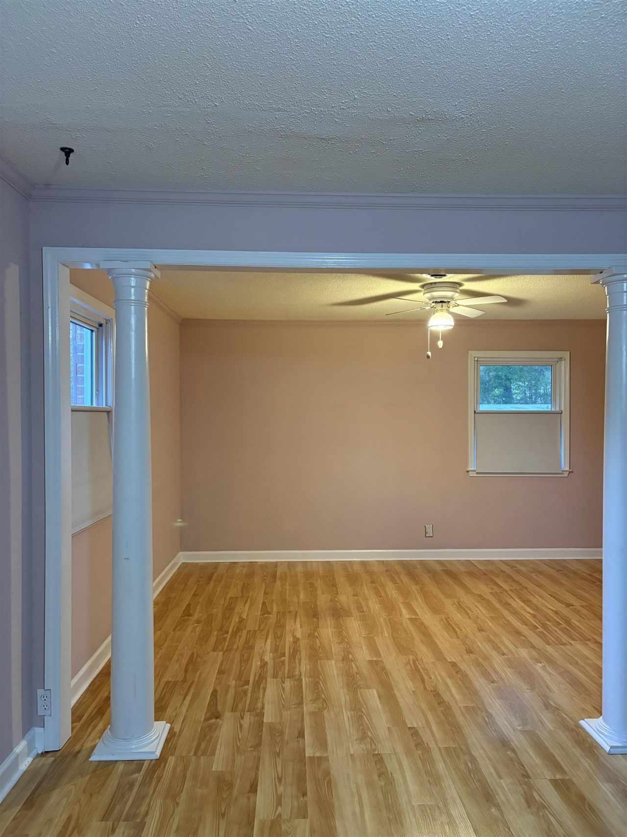 307 Byrnes Circle Photo 15