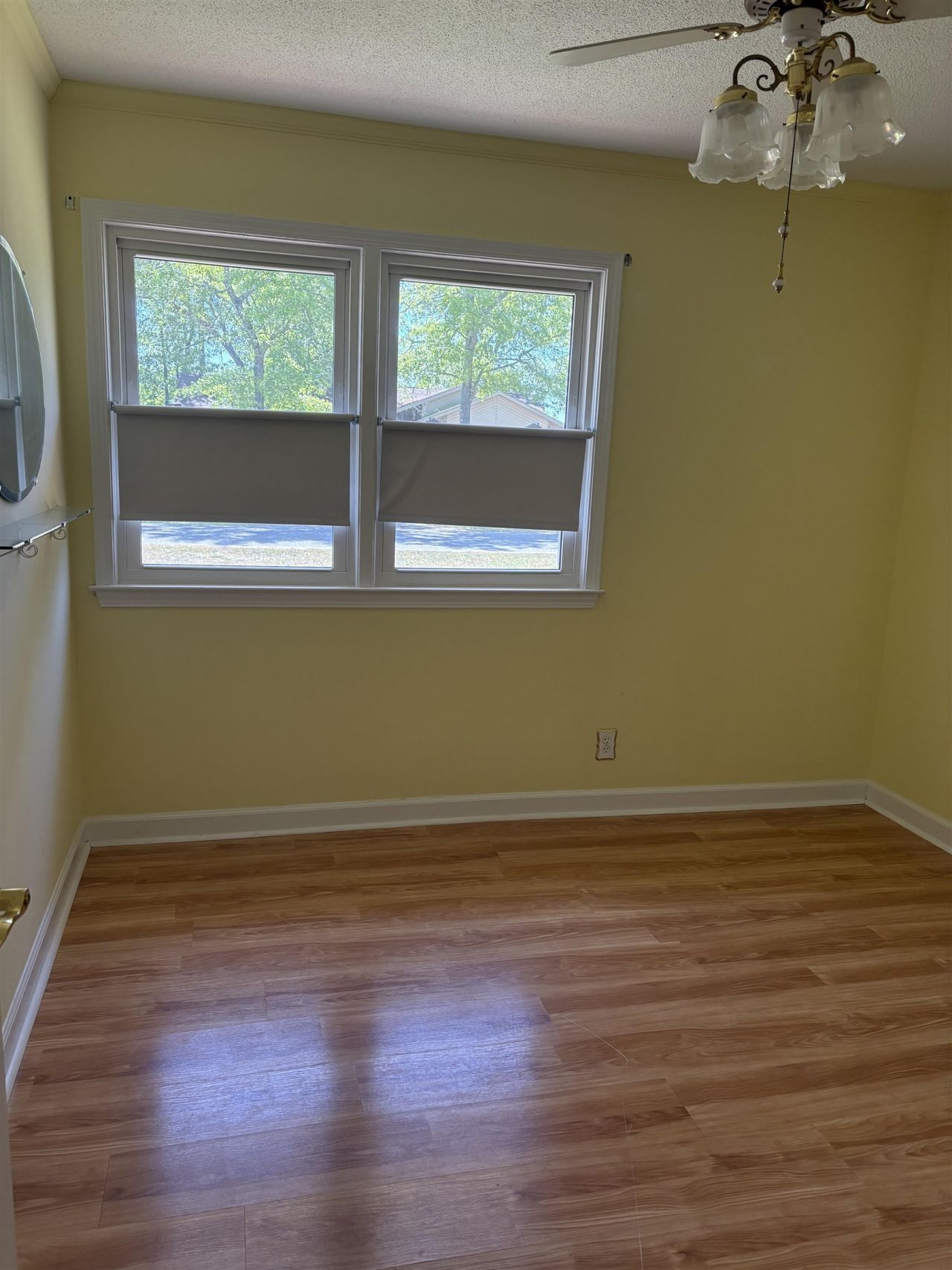 307 Byrnes Circle Photo 17