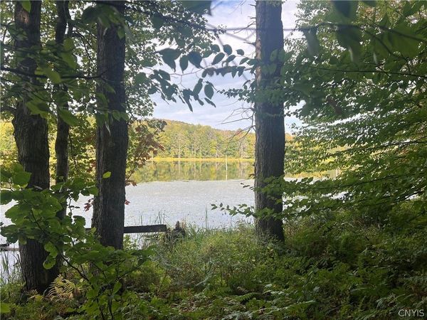 Stramba Road, Cincinnatus, NY 13040