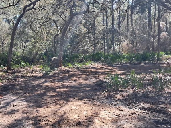 119 Gardenia Avenue, Georgetown, FL 32139