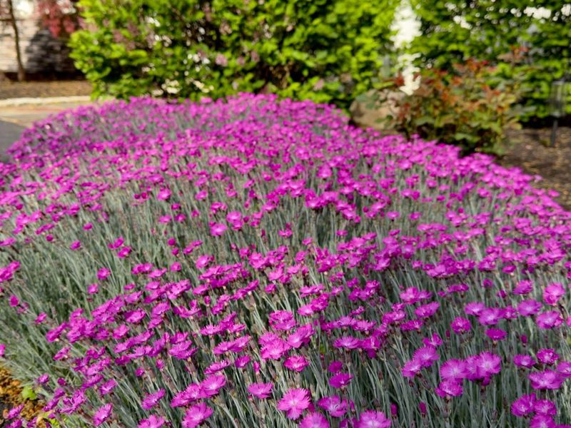 13895 OH-664, Logan, OH 43138 Photo 10