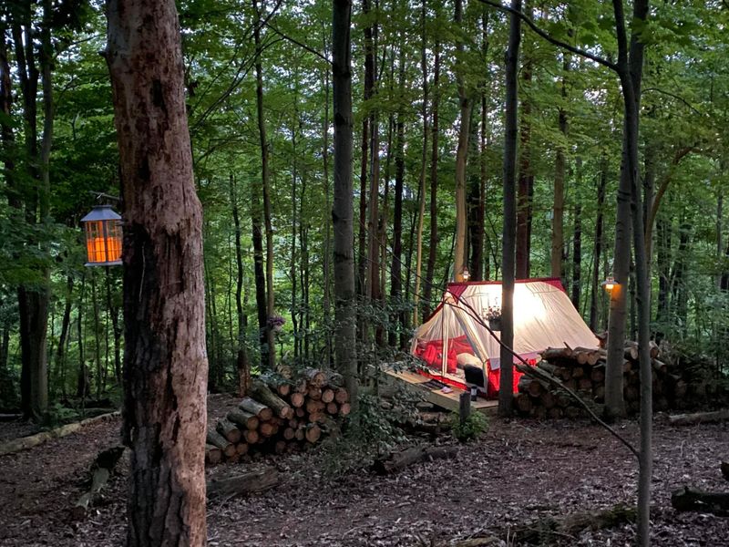 13895 OH-664, Logan, OH 43138 Photo 27