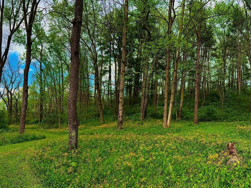 13895 OH-664, Logan, OH 43138 Photo 39