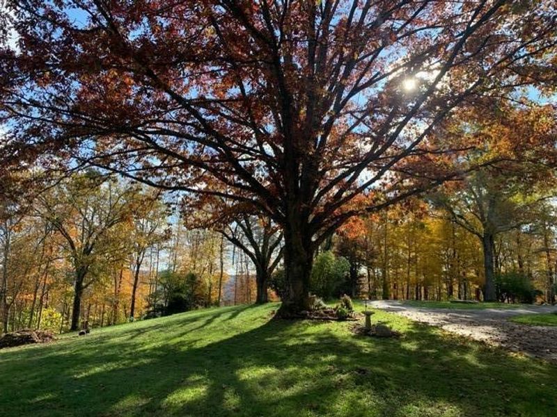 13895 OH-664, Logan, OH 43138 Photo 86