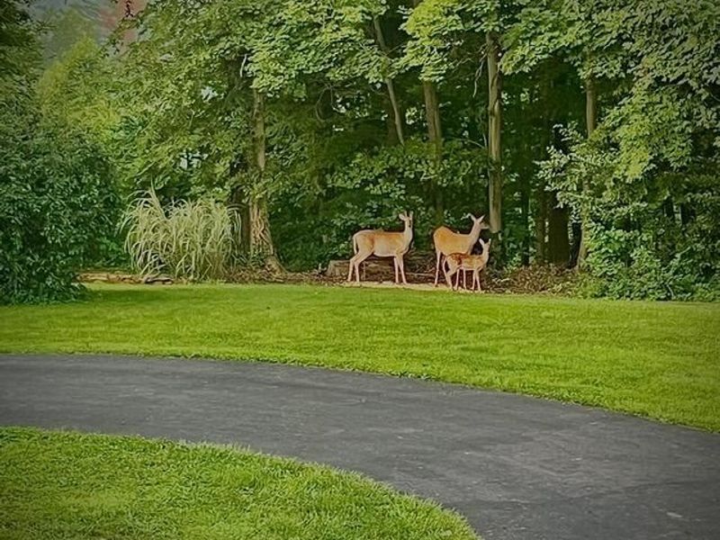 13895 OH-664, Logan, OH 43138 Photo 87