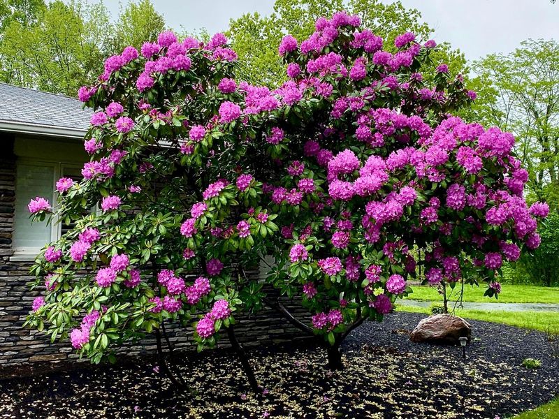 13895 OH-664, Logan, OH 43138 Photo 9