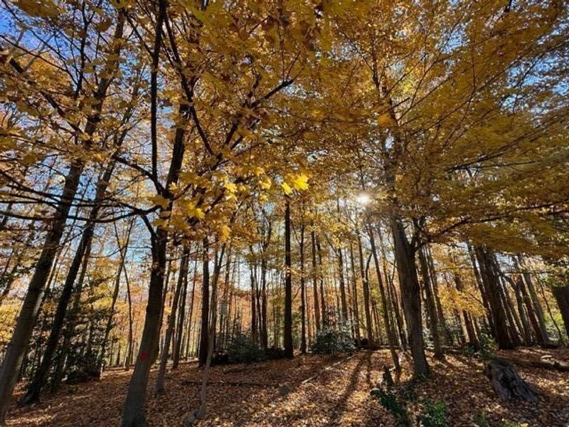 13895 OH-664, Logan, OH 43138 Photo 93