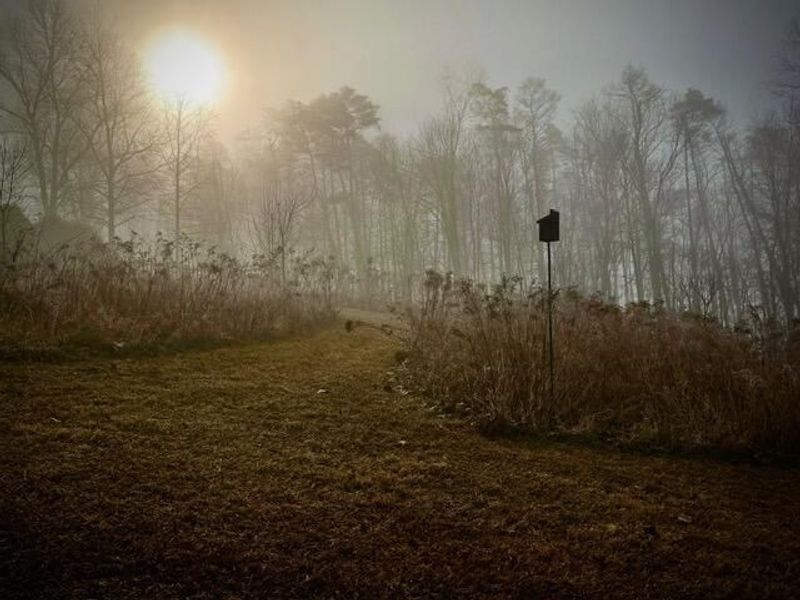 13895 OH-664, Logan, OH 43138 Photo 95