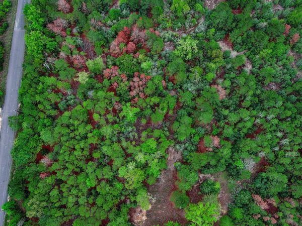 453 Kelley RD, Bastrop, TX 78602