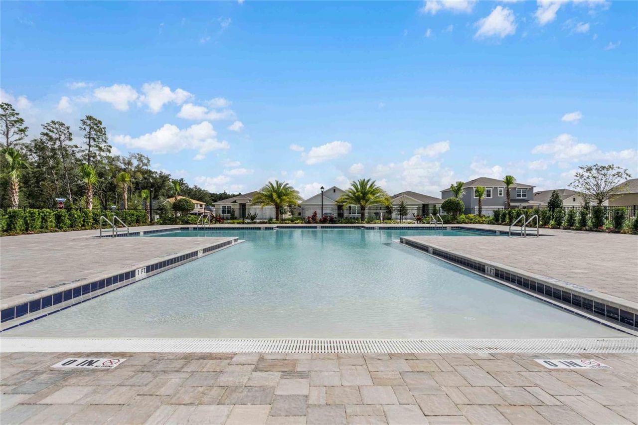 3267 Spineywood Drive, Ocoee, FL 34761 Photo