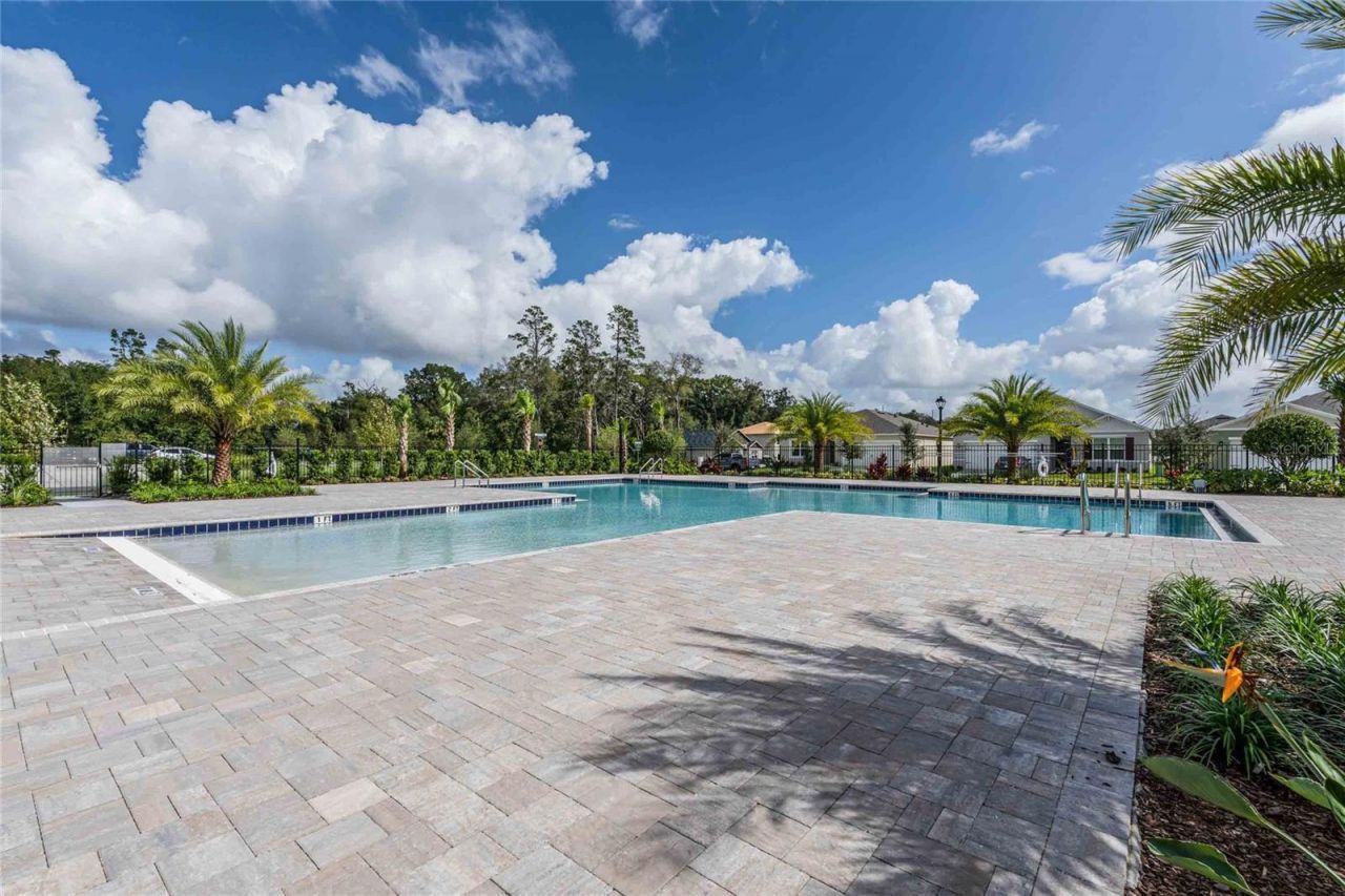 3267 Spineywood Drive, Ocoee, FL 34761 Photo
