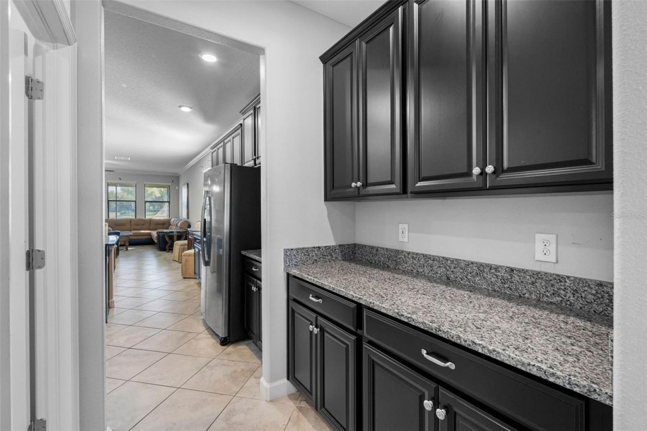 10066 Victory Gallop Loop, Ruskin, FL 33573 Photo