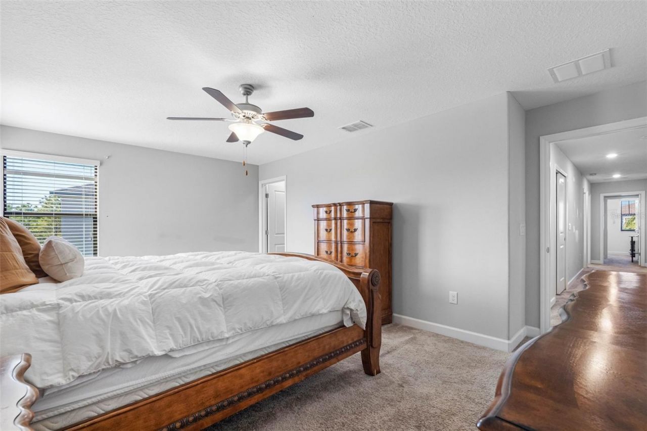 10066 Victory Gallop Loop, Ruskin, FL 33573 Photo