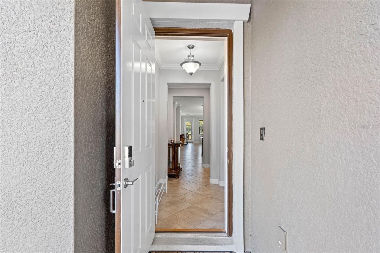 10066 Victory Gallop Loop, Ruskin, FL 33573 Photo