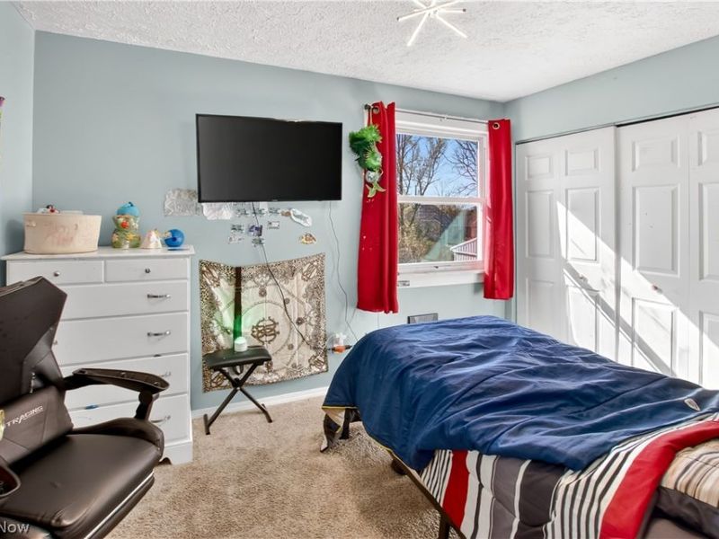 363 Seeley Street, Amherst, OH 44001 Photo 30