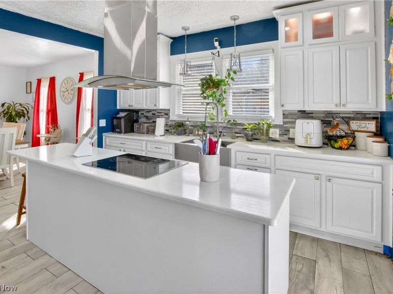 363 Seeley Street, Amherst, OH 44001 Photo 6