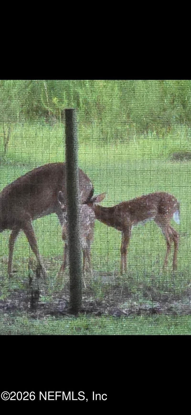 1038 Coral Farms Road, Florahome, FL 32140 Photo