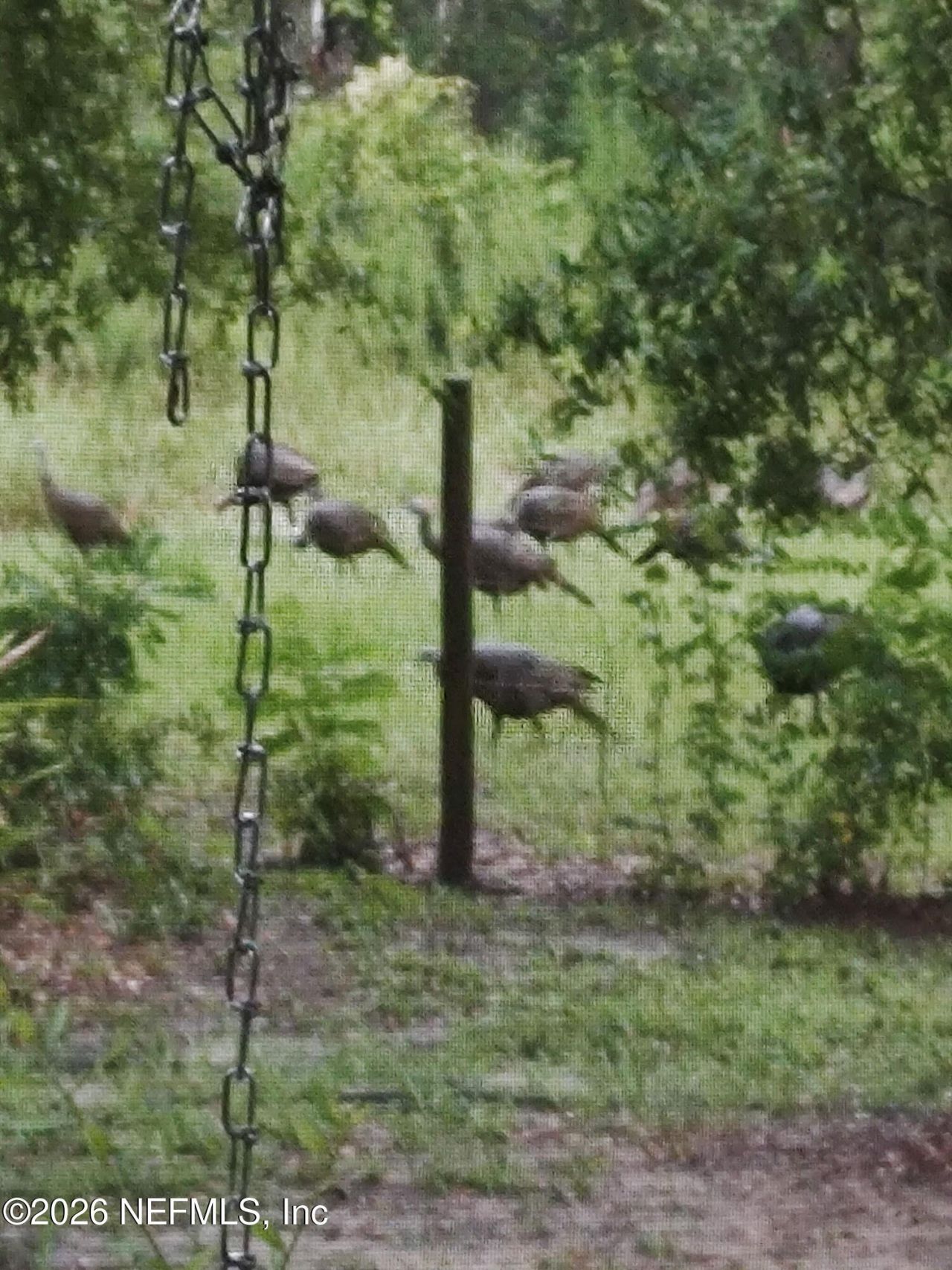 1038 Coral Farms Road, Florahome, FL 32140 Photo