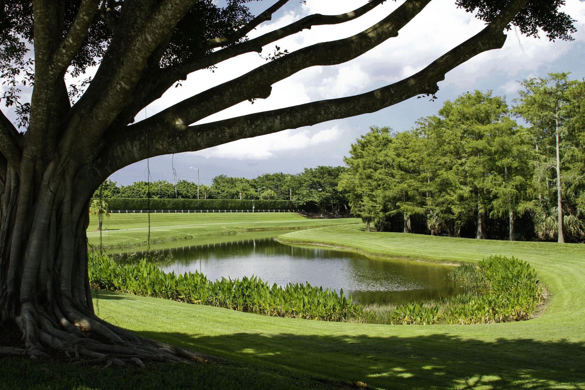 3909 Netherlee Way, Lake Worth, FL 33449 Photo