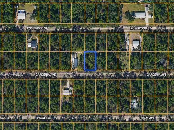 120 Gardenia Avenue, Georgetown, FL 32139
