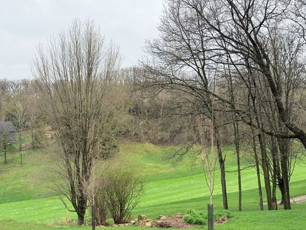 10 Linden Court , Galena, IL 61036