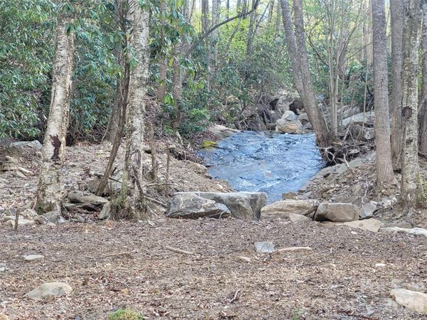 9999 Lytle Cove Road Road, Swannanoa, NC 28778