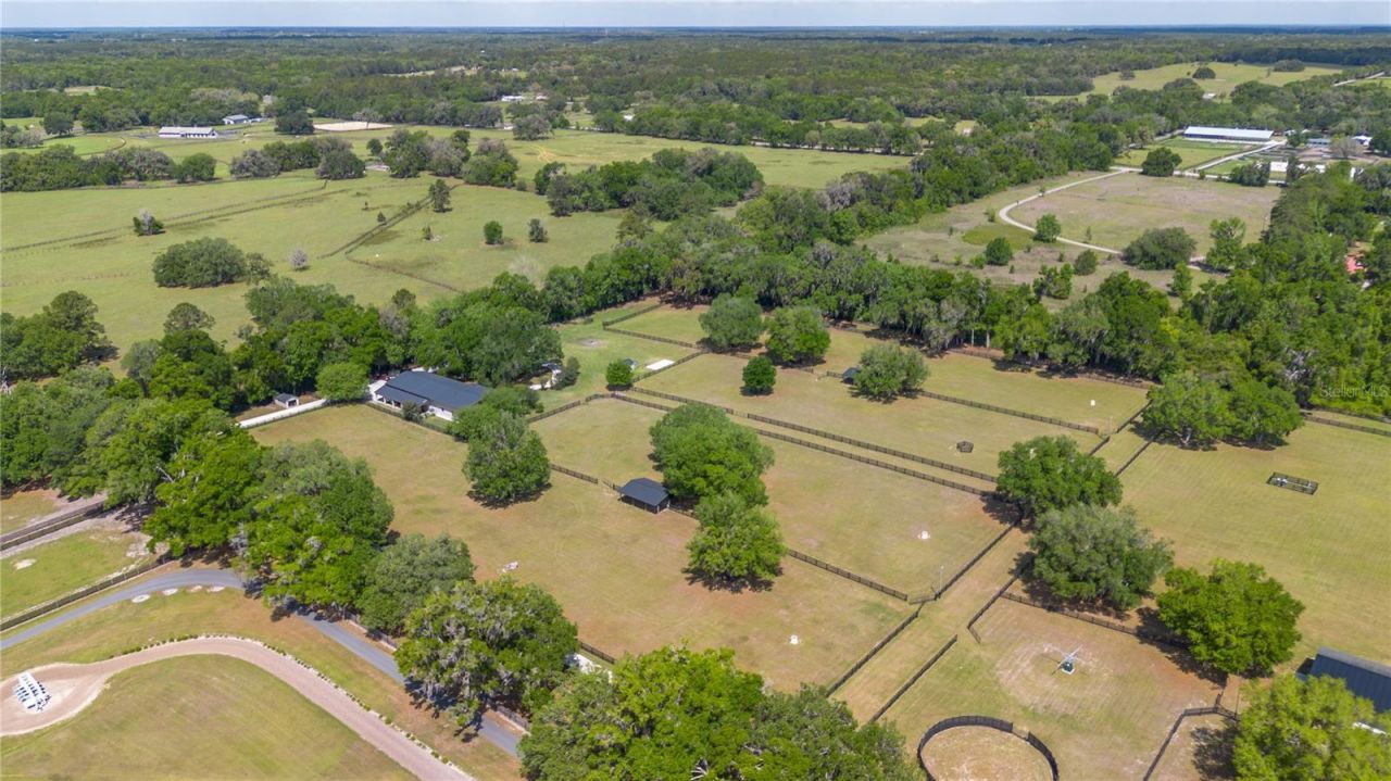 14650 NW 160th Avenue, Williston, FL 32696 Photo