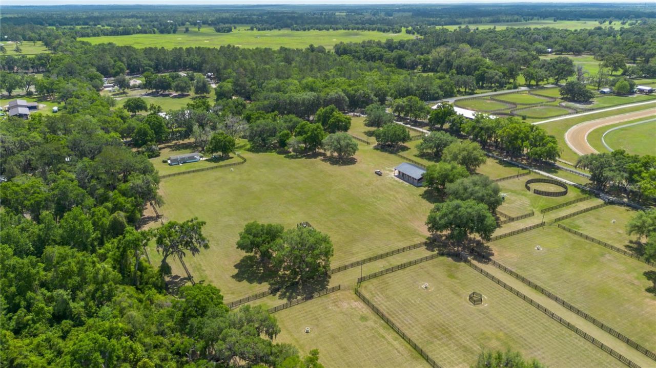 14650 NW 160th Avenue, Williston, FL 32696 Photo