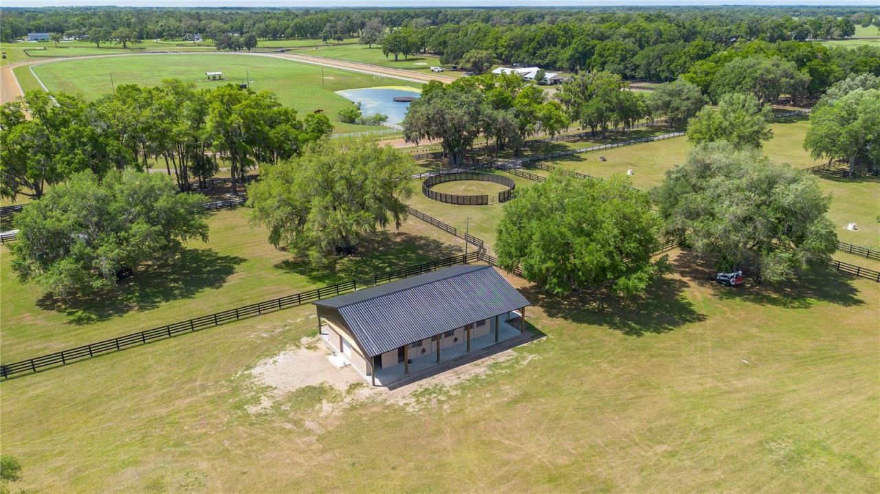 14650 NW 160th Avenue, Williston, FL 32696 Photo