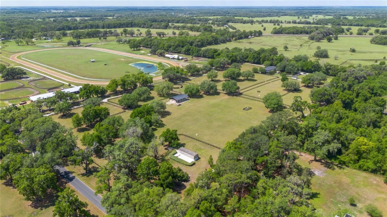 14650 NW 160th Avenue, Williston, FL 32696 Photo