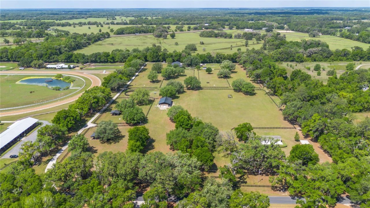 14650 NW 160th Avenue, Williston, FL 32696 Photo