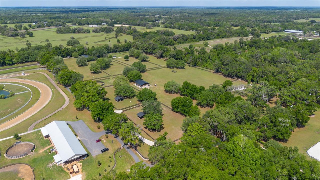 14650 NW 160th Avenue, Williston, FL 32696 Photo