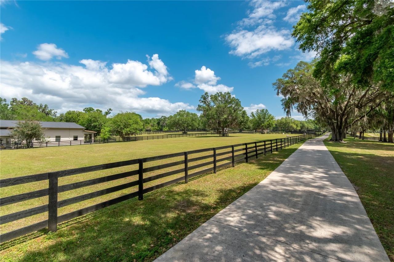 14650 NW 160th Avenue, Williston, FL 32696 Photo